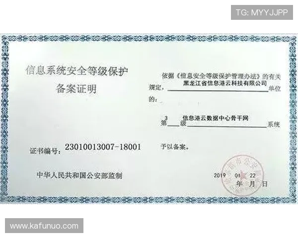 开云体育入口下载安全保障措施，保证用户信息安全与资金安全