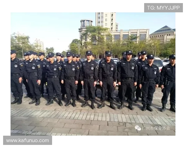 尊龙会体育官网会员制度详解享受专属权益与优先服务