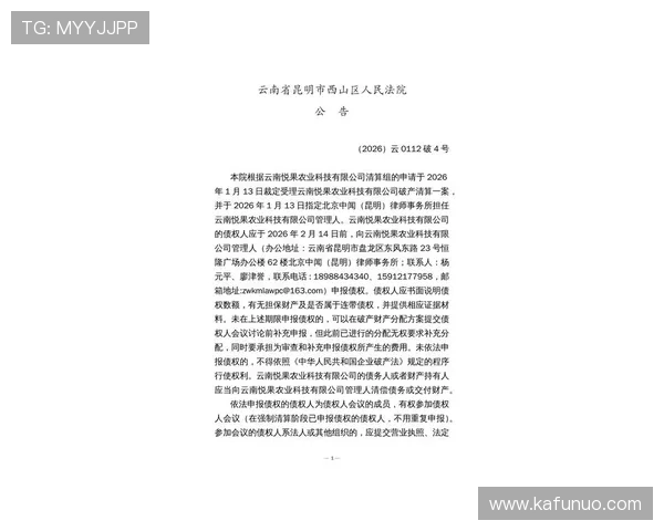 开云官网公告：最新动态全面解读与重要通知汇总