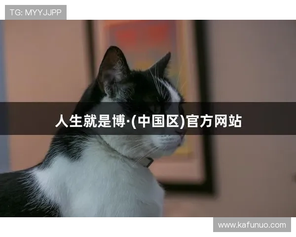 尊龙人生就是博电脑版：最新版本上线时间与更新内容详解