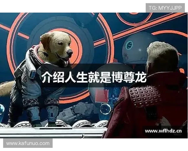 尊龙人生就是博登录入口:多渠道登录方式介绍及其安全性分析